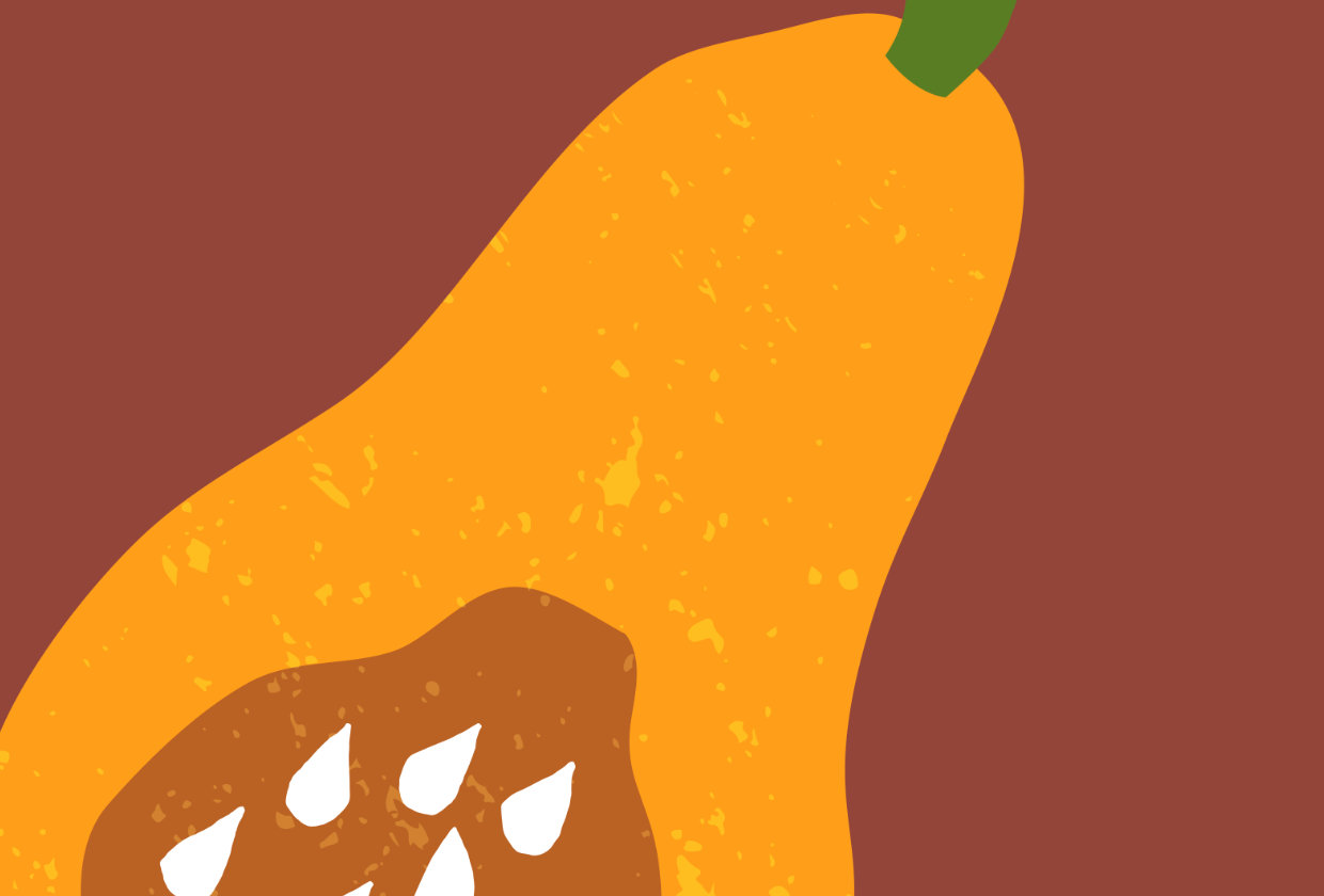 illustration of a butternut squash on a brown background
