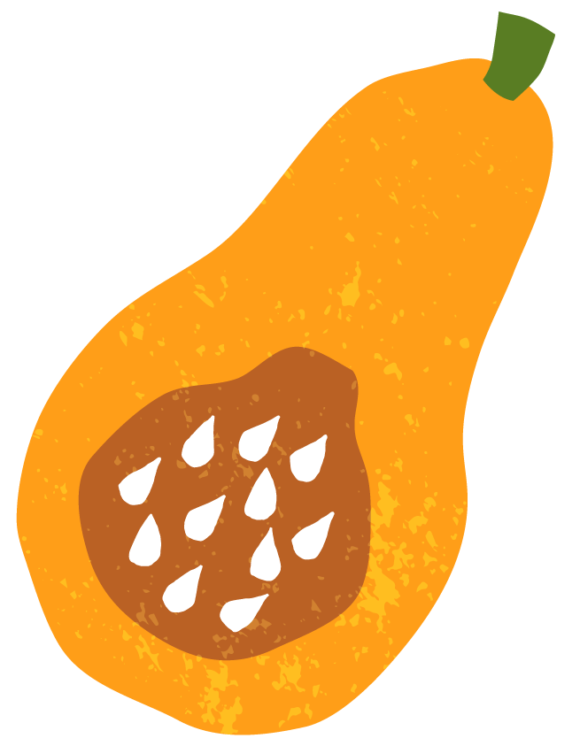 Butternut squash.png