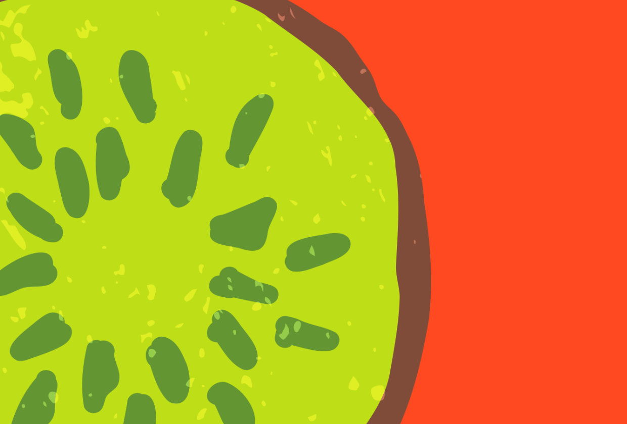 illustration of a sliced kiwi fruit on a red background