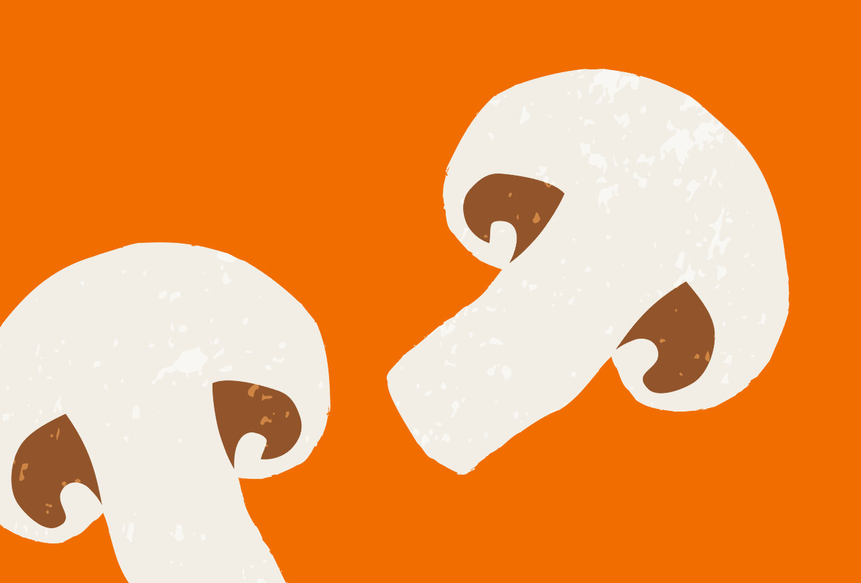 Illustration of 2 sliced mushrooms on an orange background